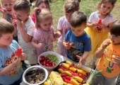 8a2d8ced-f121-4461-b69b-f0d59ef5d795